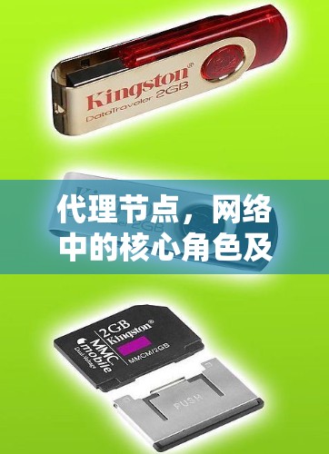 代理节点,网络中的核心角色及应用分析 代理节点,网络中的核心角色及应用分析