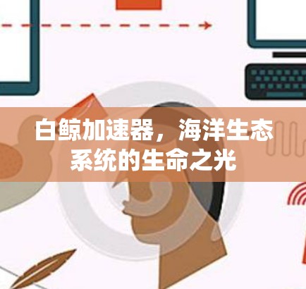 白鲸加速器,海洋生态系统的生命之光 白鲸加速器,海洋生态系统的生命之光