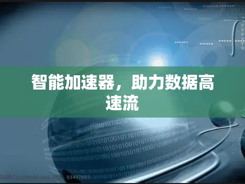 智能加速器,助力数据高速流 智能加速器,助力数据高速流