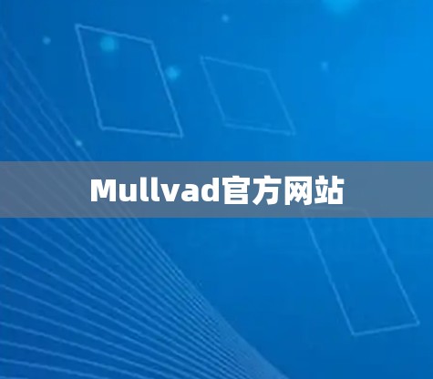 Mullvad官方网站 Mullvad官方网站