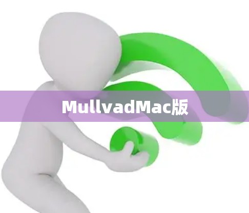 MullvadMac版 MullvadMac版