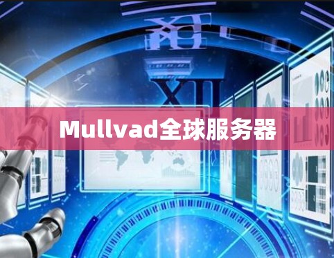 Mullvad全球服务器 Mullvad全球服务器