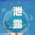 泄露ExpressVPN的隐藏福利 泄露ExpressVPN的隐藏福利
