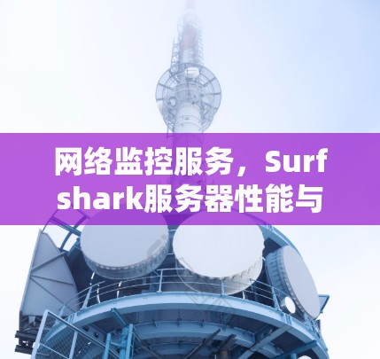 网络监控服务,Surfshark服务器性能与安全的完美结合 网络监控服务,Surfshark服务器性能与安全的完美结合