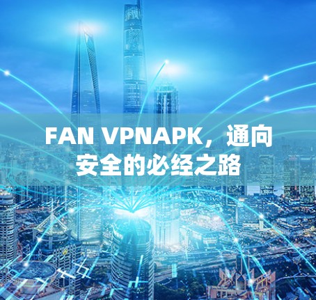 FAN VPNAPK，通向安全的必经之路