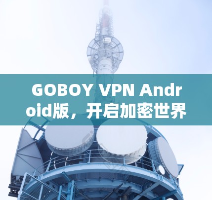 GOBOY VPN Android版,开启加密世界的无限可能 GOBOY VPN Android版,开启加密世界的无限可能
