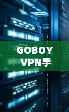 GOBOY VPN手机版 是一款专为手机设备设计的网络VPN服务，提供 secure 的网络连接体验。以下是关于 GOBOY VPN手机版 的一些关键信息