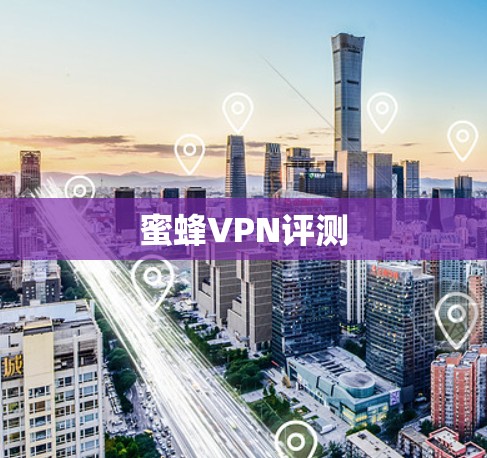 蜜蜂VPN评测