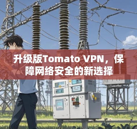 升级版Tomato VPN，保障网络安全的新选择