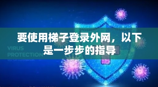要使用梯子登录外网，以下是一步步的指导