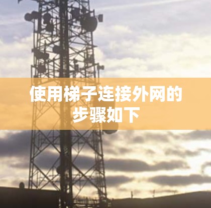 使用梯子连接外网的步骤如下