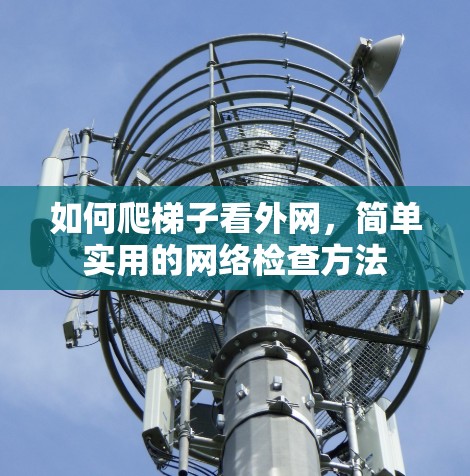 如何爬梯子看外网，简单实用的网络检查方法
