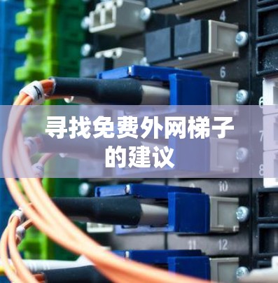 寻找免费外网梯子的建议