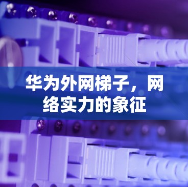 华为外网梯子，网络实力的象征