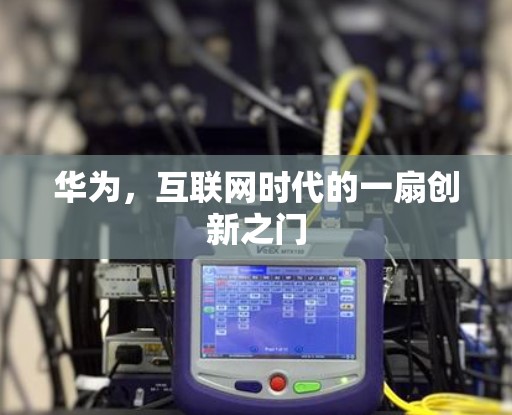 华为，互联网时代的一扇创新之门