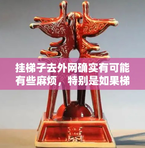挂梯子去外网确实有可能有些麻烦，特别是如果梯子在较高位置或者在夜间使用的话，可能会因为高度或结构问题导致滑落或意外发生。以下是一些小贴士，帮助你更好地管理梯子