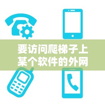 要访问爬梯子上某个软件的外网版本，您可以按照以下步骤操作