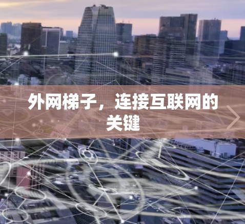 外网梯子，连接互联网的关键