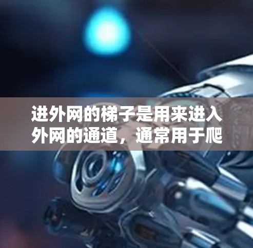 进外网的梯子是用来进入外网的通道，通常用于爬升至不同的楼层或出口。以下是使用进外网梯子的详细步骤