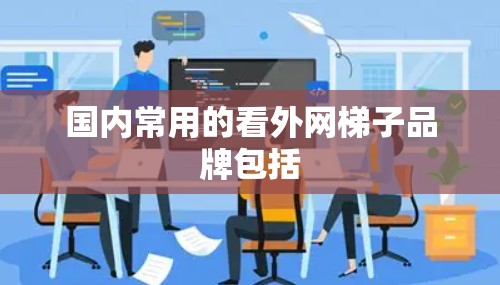 国内常用的看外网梯子品牌包括