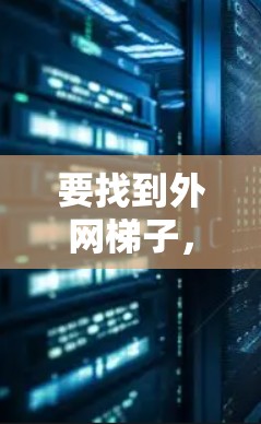 要找到外网梯子，以下是一些步骤和建议