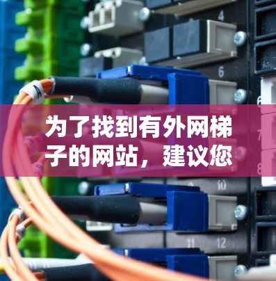 为了找到有外网梯子的网站，建议您参考以下方法