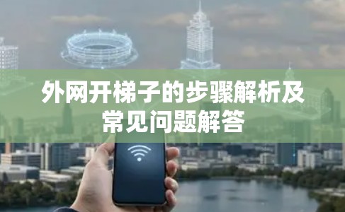 外网开梯子的步骤解析及常见问题解答