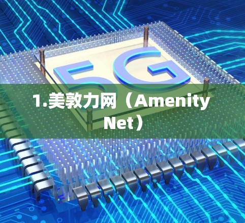 1.美敦力网（Amenity Net）