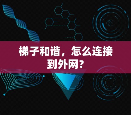 梯子和谐，怎么连接到外网？
