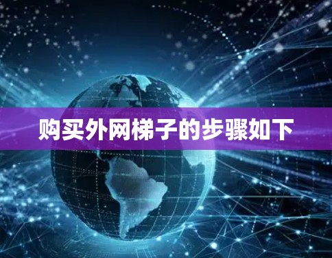 购买外网梯子的步骤如下