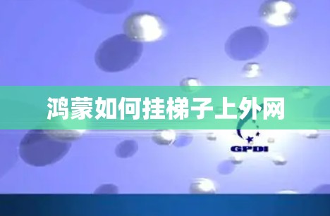 鸿蒙如何挂梯子上外网