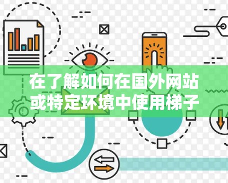 在了解如何在国外网站或特定环境中使用梯子后，可以按照以下步骤进行
