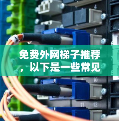 免费外网梯子推荐，以下是一些常见的品牌和系列，适合在需要免费连接外网的情况下使用