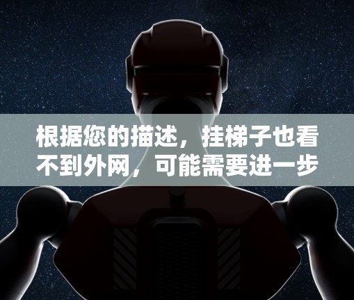 根据您的描述，挂梯子也看不到外网，可能需要进一步的信息来准确解释问题。以下是一些可能的解释和建议