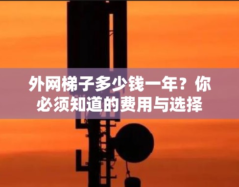 外网梯子多少钱一年？你必须知道的费用与选择