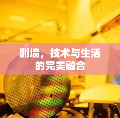 翻墙，技术与生活的完美融合