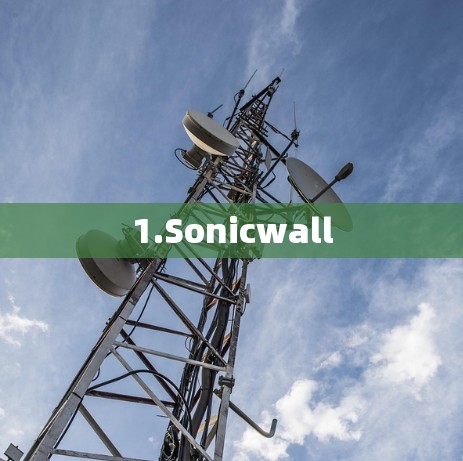 1.Sonicwall