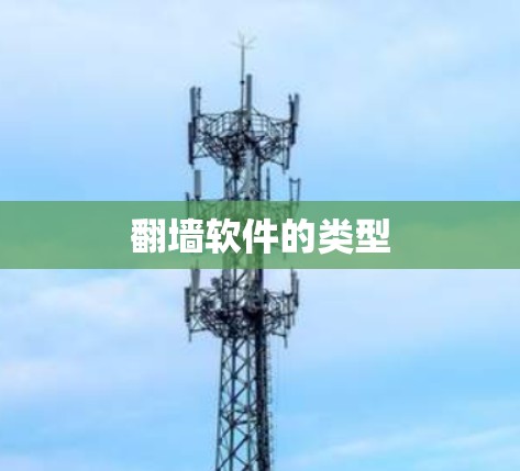 翻墙软件的类型