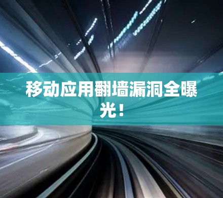 移动应用翻墙漏洞全曝光！