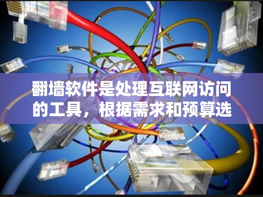 翻墙软件是处理互联网访问的工具，根据需求和预算选择合适的软件。以下是一些常用的翻墙软件及其特点