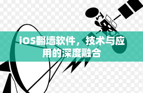 iOS翻墙软件，技术与应用的深度融合