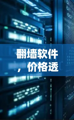 翻墙软件，价格透明，选择自由—为你的网络隐私保驾护航
