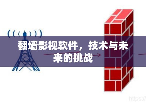 翻墙影视软件，技术与未来的挑战
