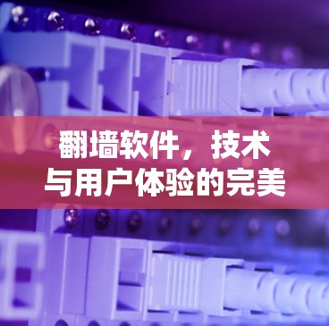 翻墙软件,技术与用户体验的完美融合 翻墙软件,技术与用户体验的完美融合