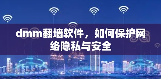 dmm翻墙软件，如何保护网络隐私与安全
