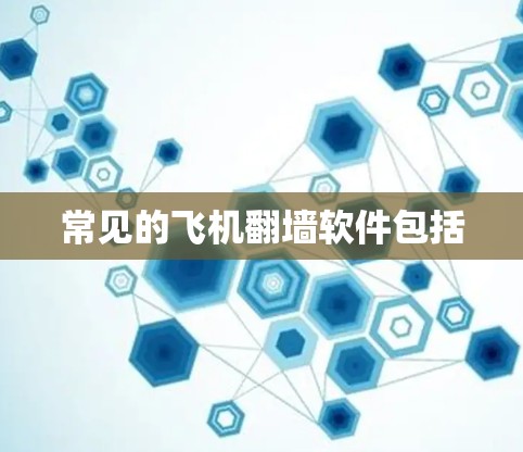 常见的飞机翻墙软件包括 常见的飞机翻墙软件包括