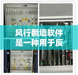风行翻墙软件是一种用于反转文件、视频和图片的工具，帮助用户在互联网上访问他们无法访问的网站或资源。以下是几种常见的风行翻墙软件推荐