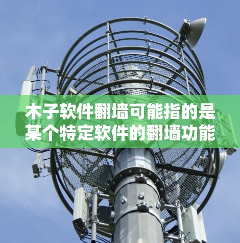 木子软件翻墙可能指的是某个特定软件的翻墙功能，具体取决于上下文。以下是对该问题的分步解释