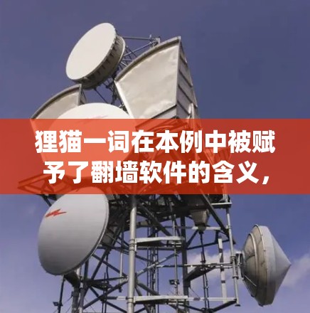 狸猫一词在本例中被赋予了翻墙软件的含义，因此可以理解为翻墙软件。翻墙软件旨在绕过IP地址墙，允许未经授权的访问，通常涉及以下几点