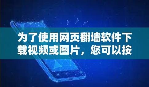 为了使用网页翻墙软件下载视频或图片，您可以按照以下步骤进行